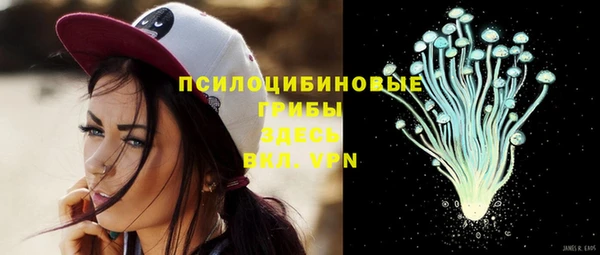 spice Вязники