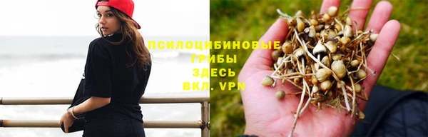 spice Вязники