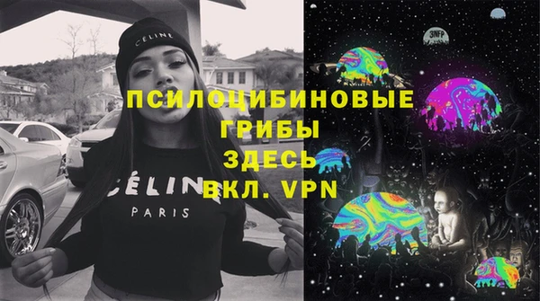 метадон Вяземский