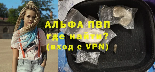 шишки Слюдянка